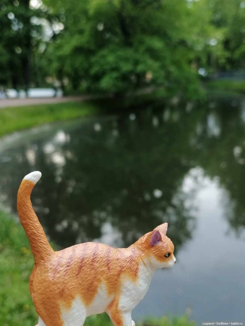 Лурения - Петербург: новый кот на прогулке в Таврическом