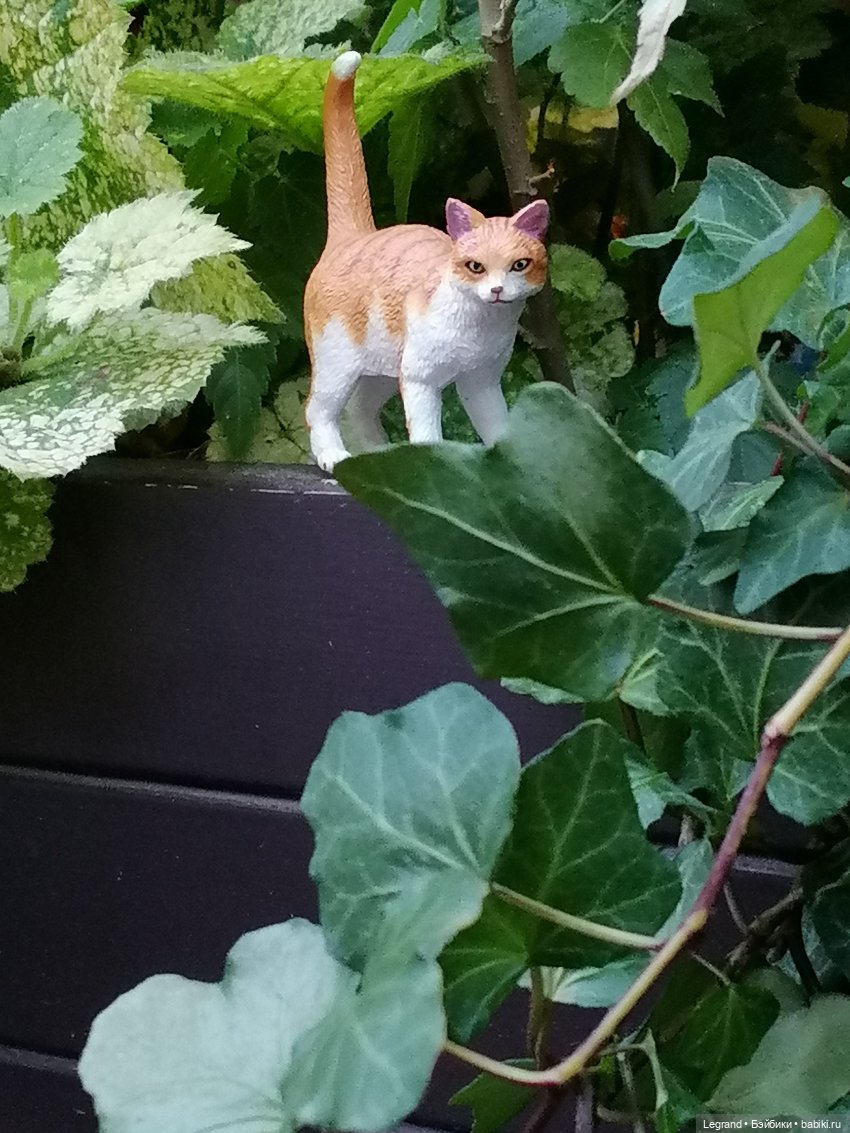 Лурения - Петербург: новый кот на прогулке в Парадном