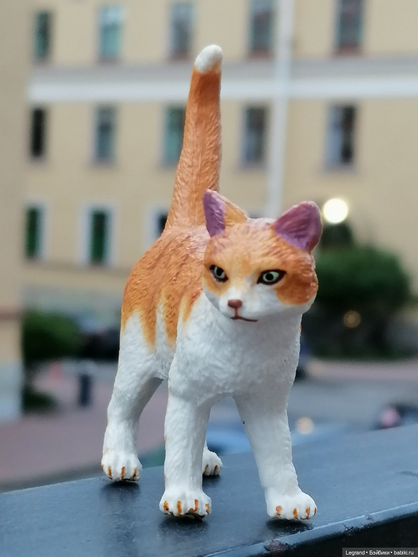 Лурения - Петербург: новый кот на прогулке в Парадном