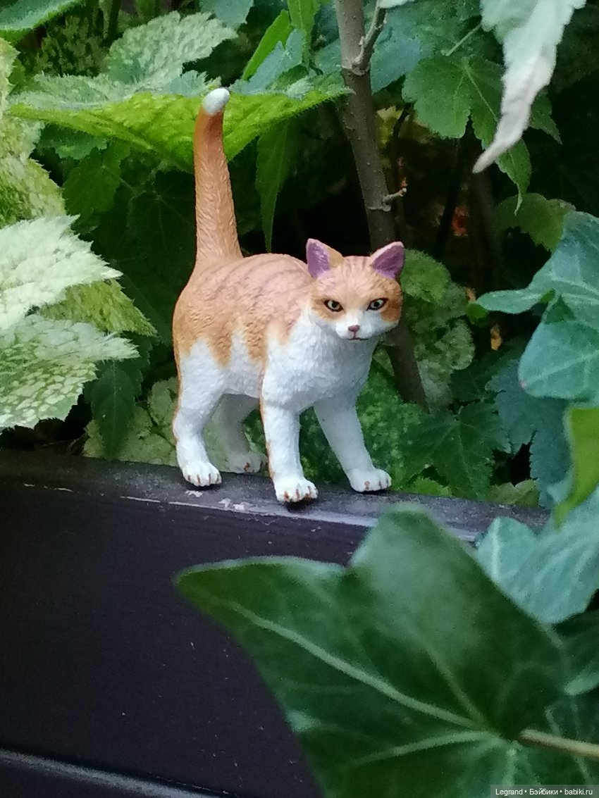 Лурения - Петербург: новый кот на прогулке в Парадном