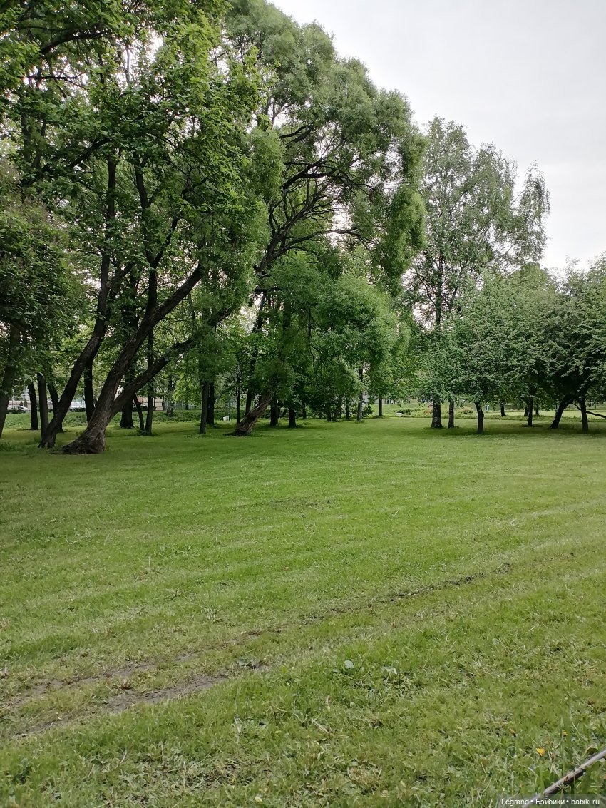 Санкт-Петербург: Таврический сад в начале июня