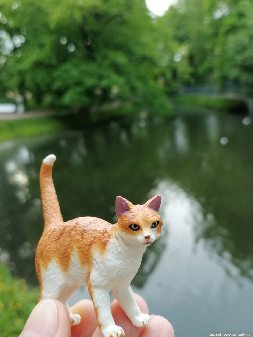 Лурения - Петербург: новый кот на прогулке в Таврическом