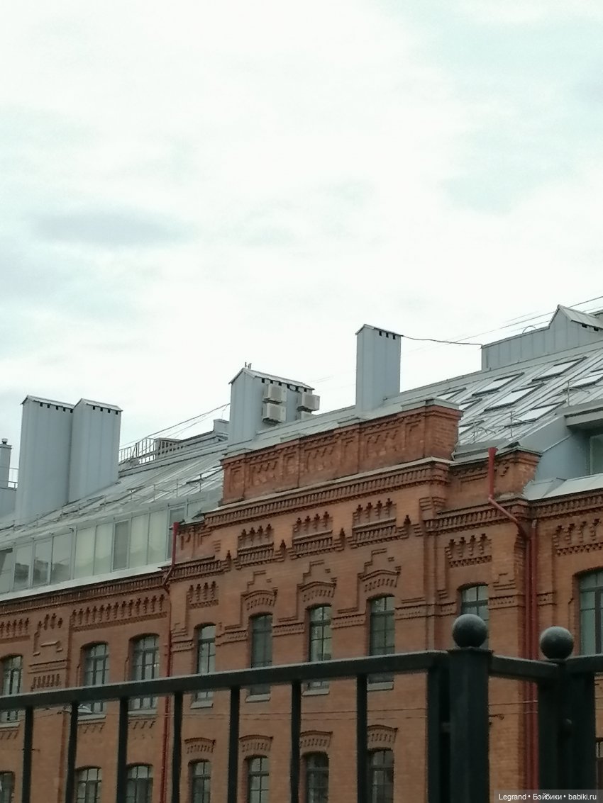 Лурения - Петербург: новый кот на прогулке в Парадном