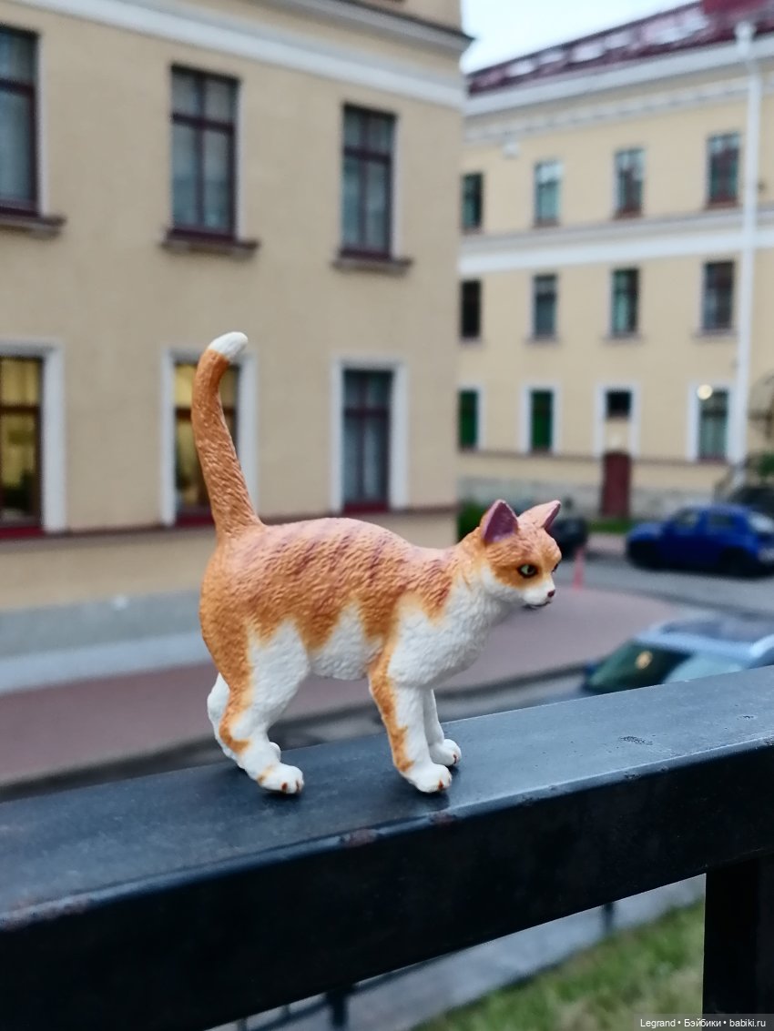 Лурения - Петербург: новый кот на прогулке в Парадном