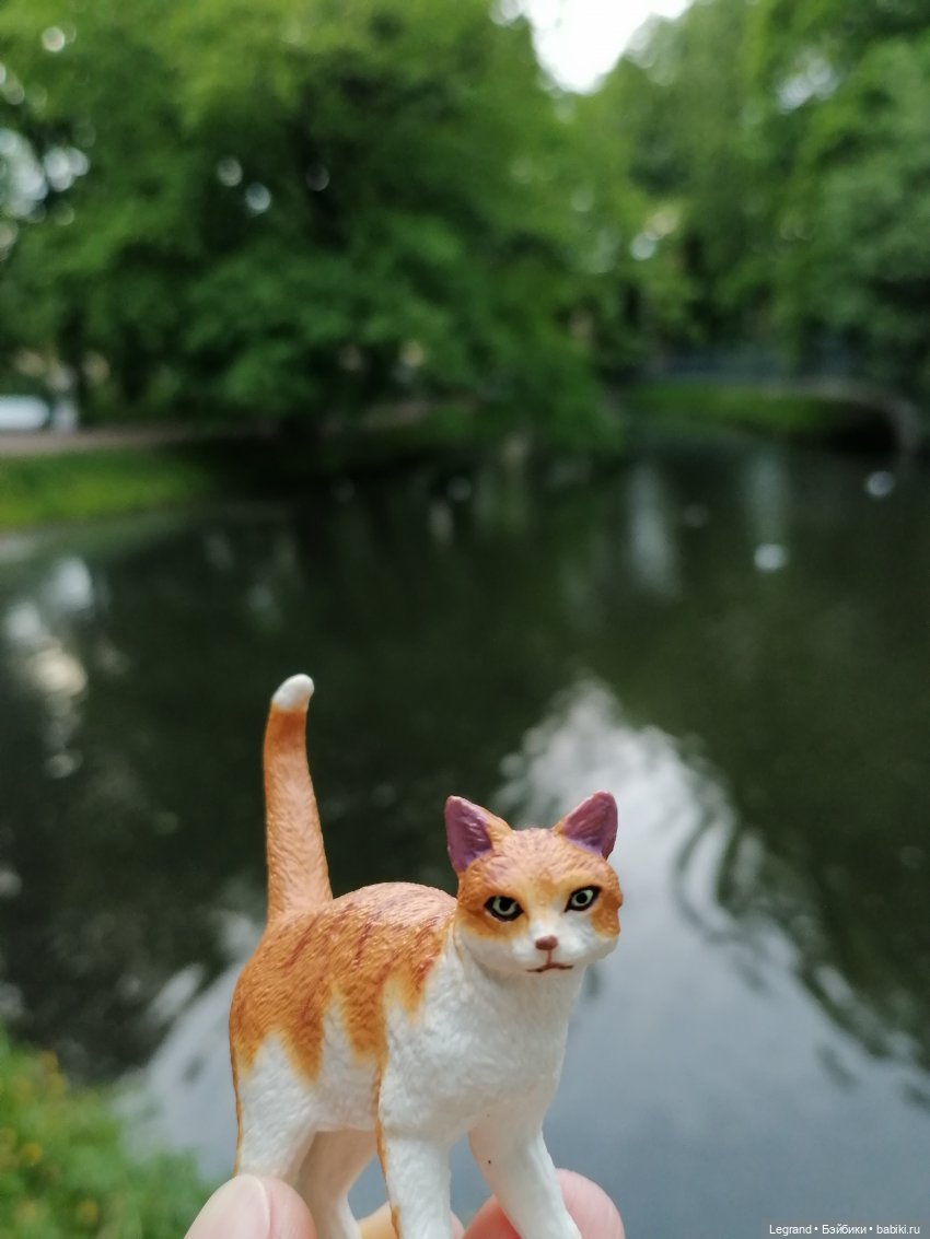 Лурения - Петербург: новый кот на прогулке в Таврическом