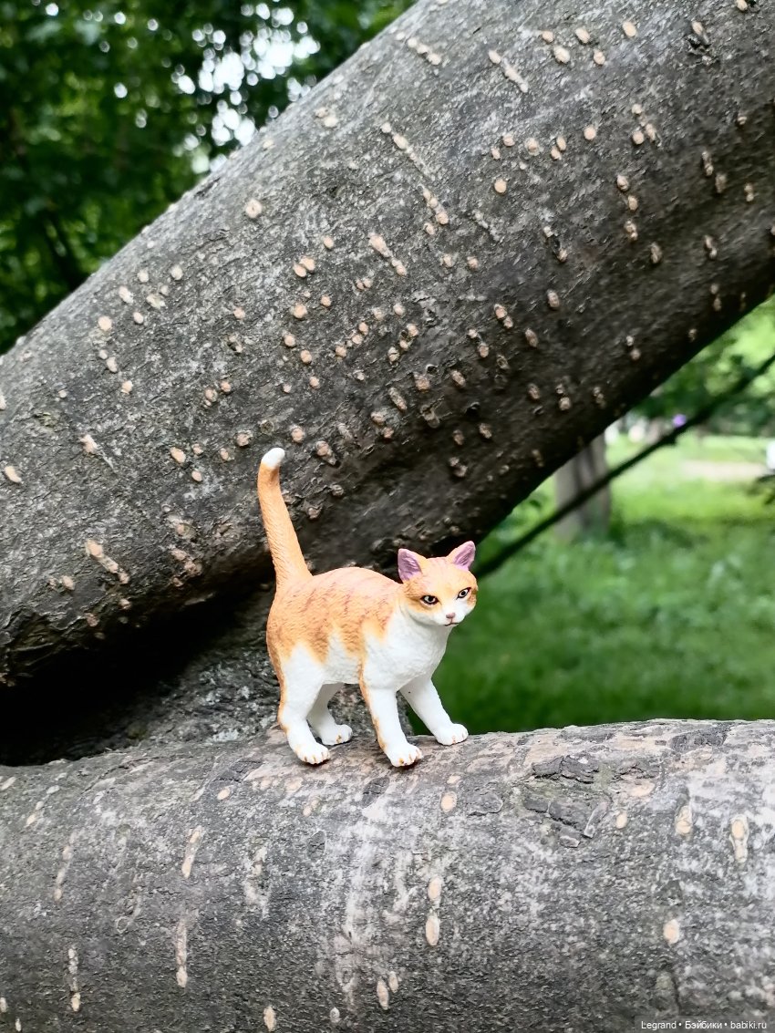 Лурения - Петербург: новый кот на прогулке в Таврическом