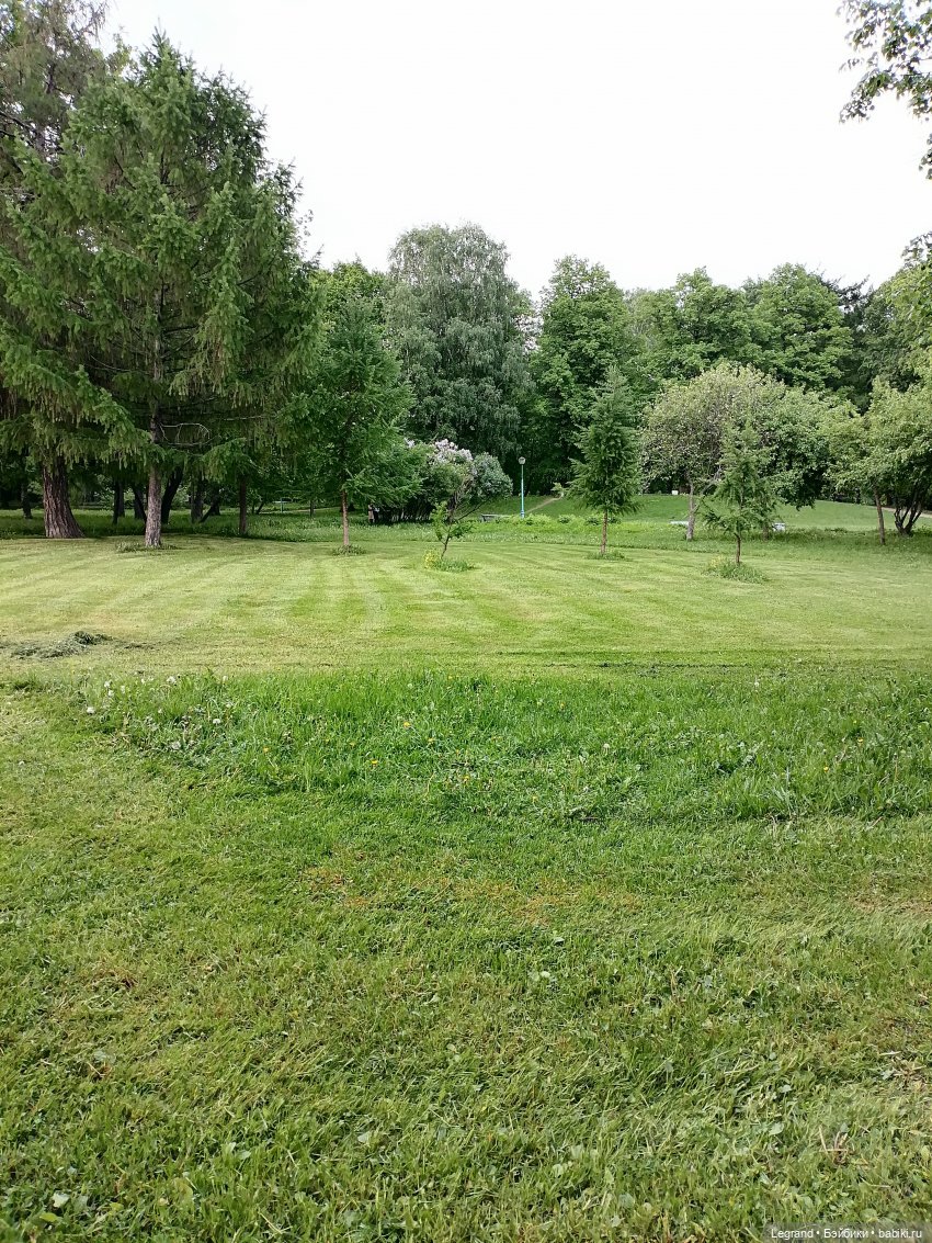 Санкт-Петербург: Таврический сад в начале июня