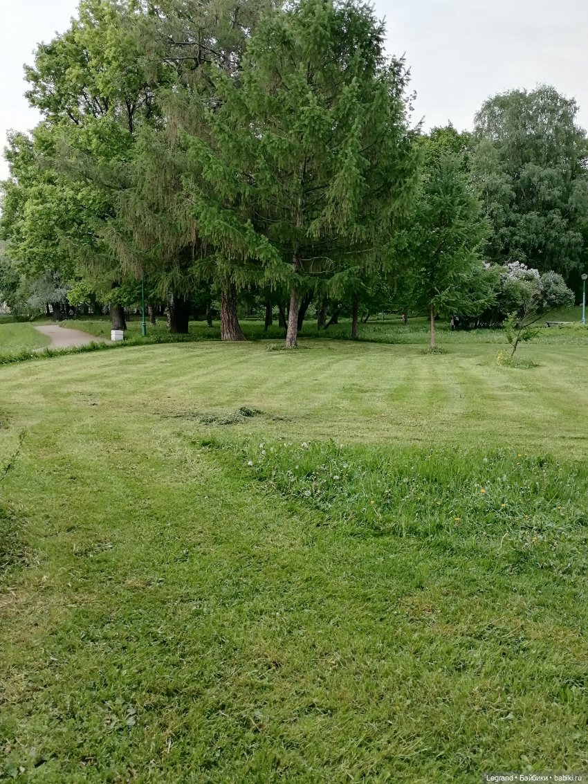 Санкт-Петербург: Таврический сад в начале июня