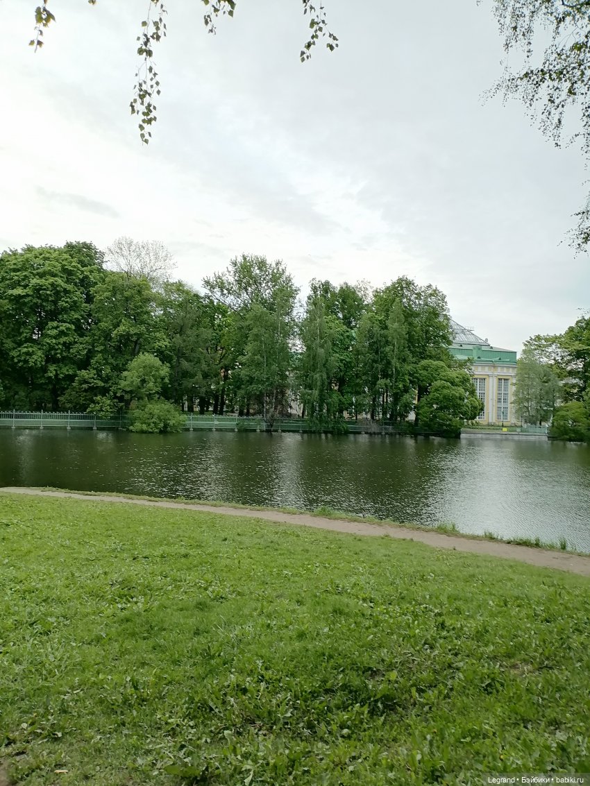 Санкт-Петербург: Таврический сад - пруд, утки, чайки