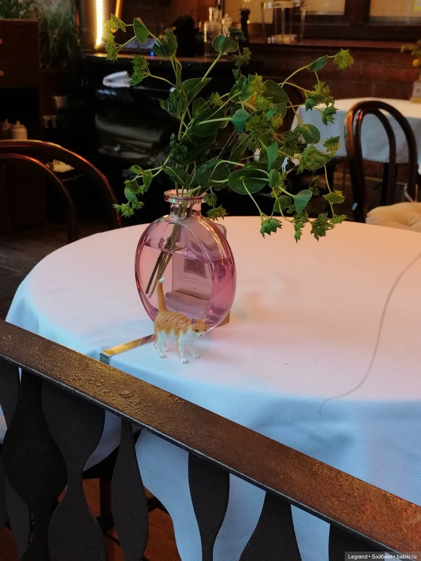 Лурения - Петербург: новый кот на прогулке в Парадном