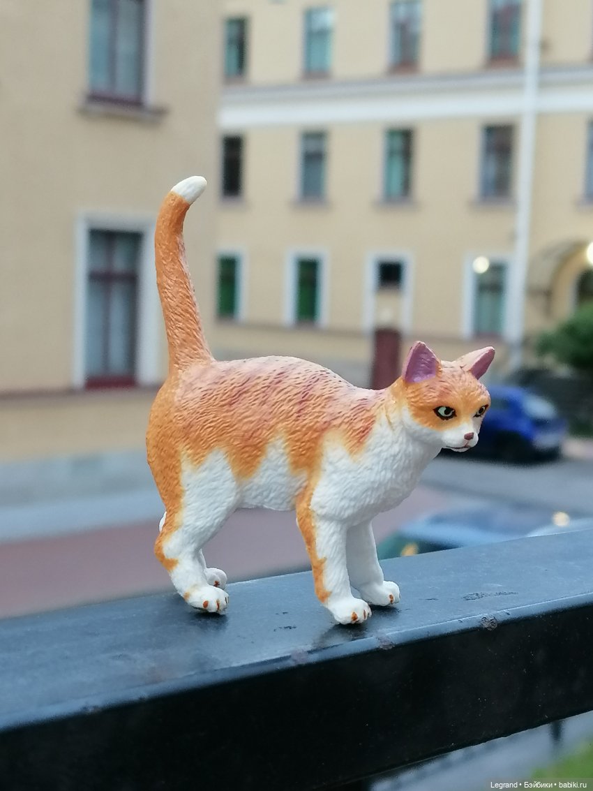 Лурения - Петербург: новый кот на прогулке в Парадном