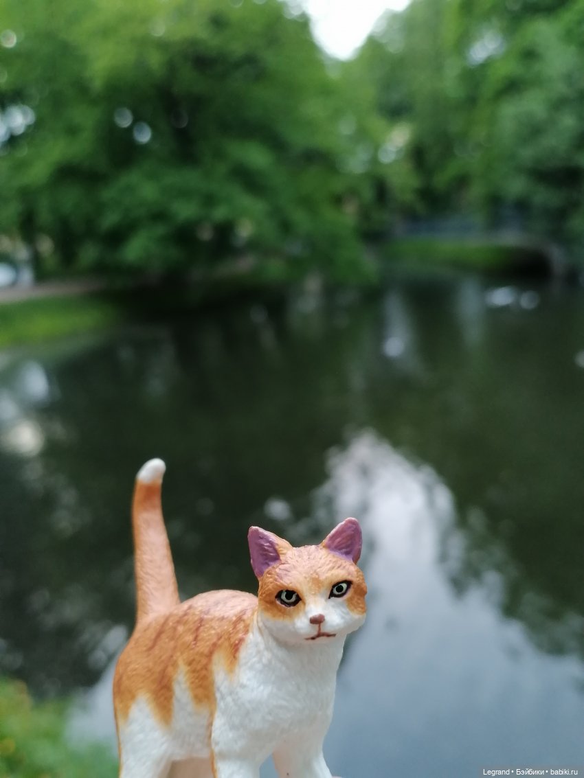 Лурения - Петербург: новый кот на прогулке в Таврическом