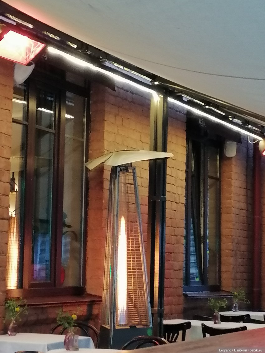 Лурения - Петербург: новый кот на прогулке в Парадном