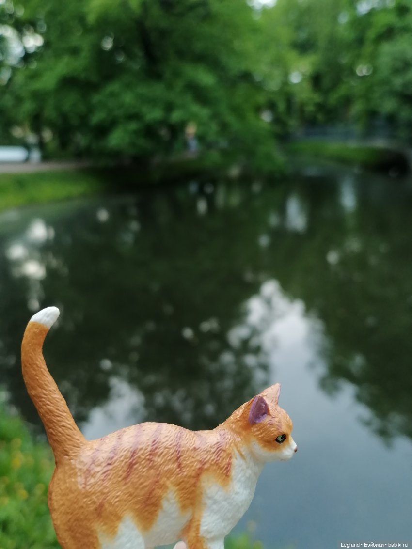 Лурения - Петербург: новый кот на прогулке в Таврическом