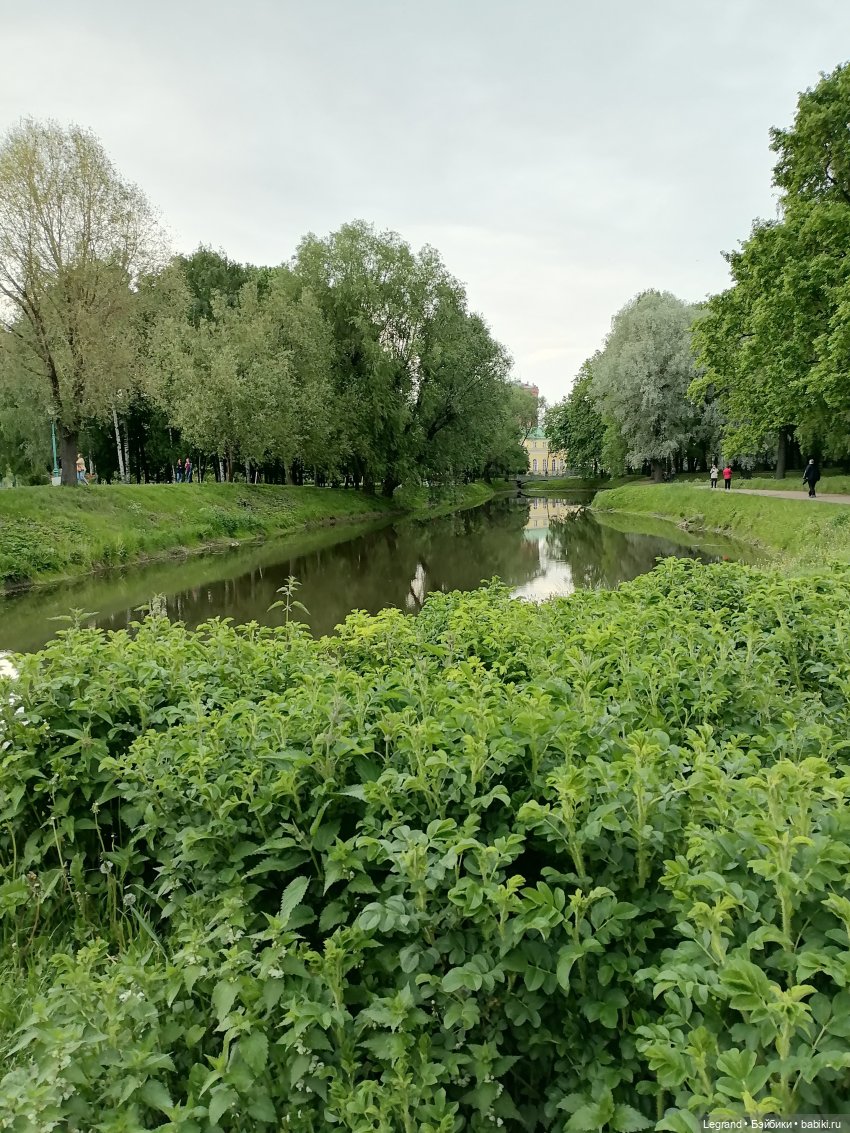 Санкт-Петербург: Таврический сад в начале июня