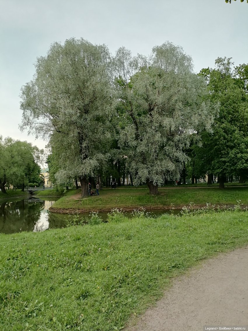 Санкт-Петербург: Таврический сад в начале июня