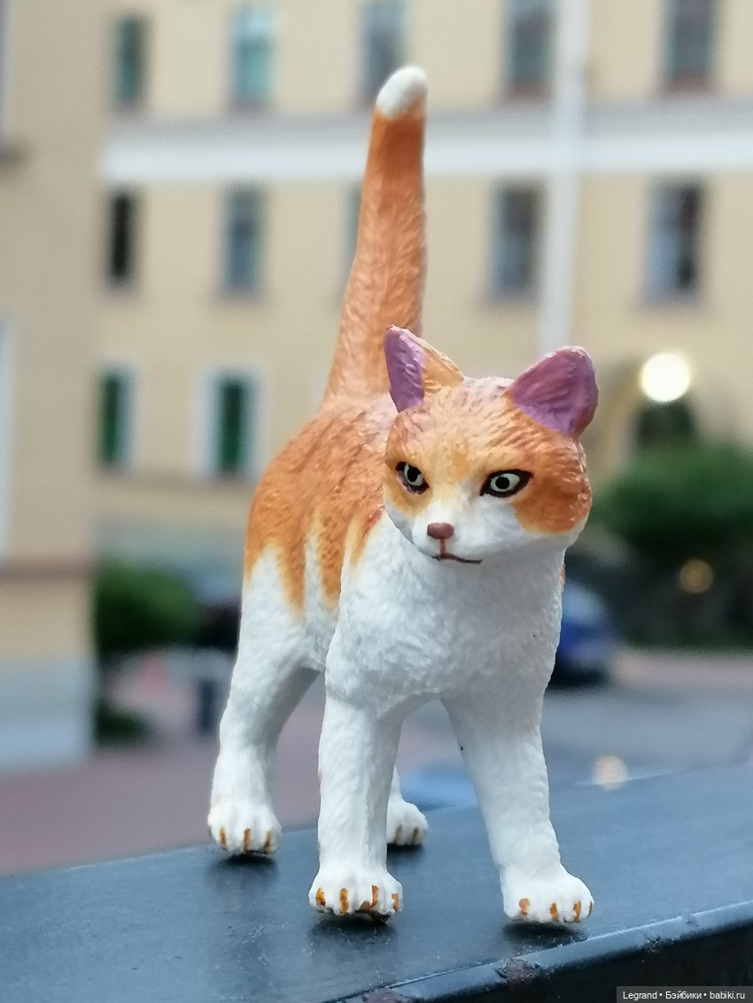 Лурения - Петербург: новый кот на прогулке в Парадном