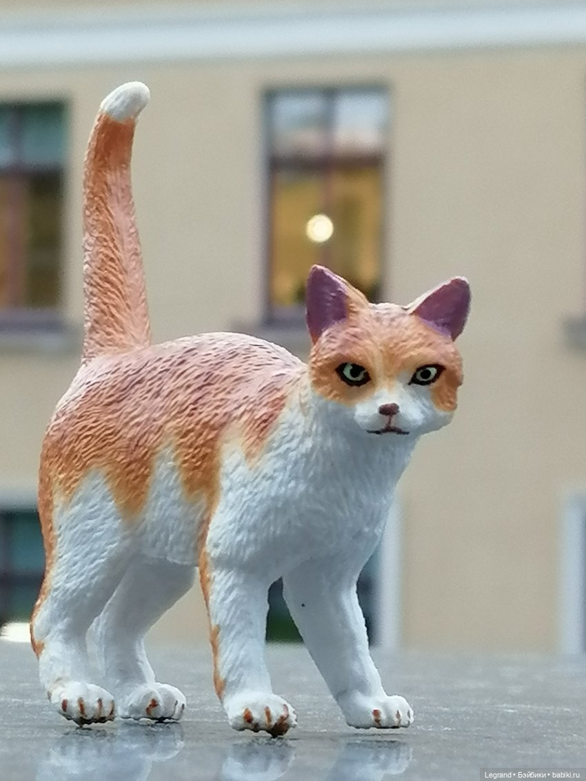 Лурения - Петербург: новый кот на прогулке в Парадном (фото 10)