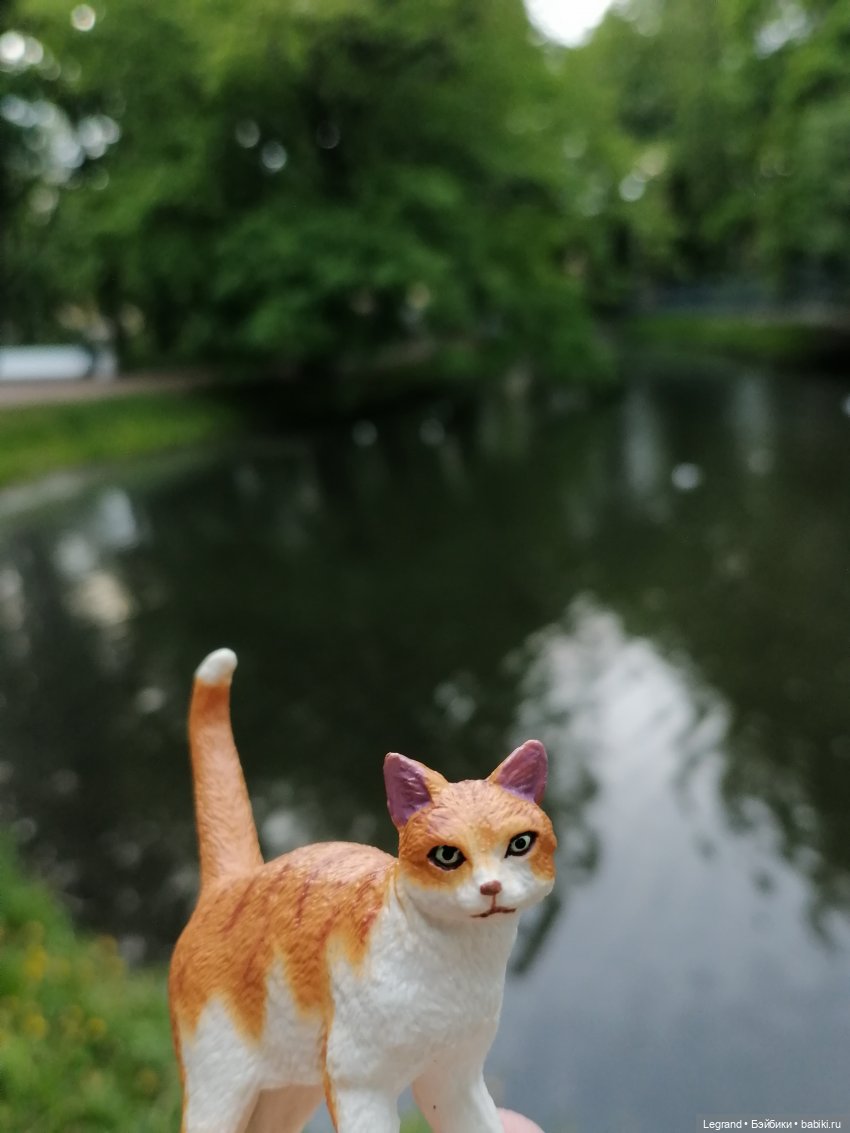 Лурения - Петербург: новый кот на прогулке в Таврическом