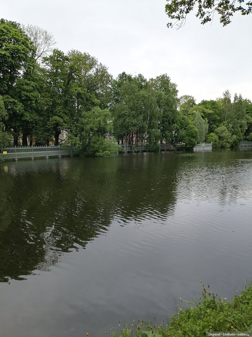 Санкт-Петербург: Таврический сад - пруд, утки, чайки