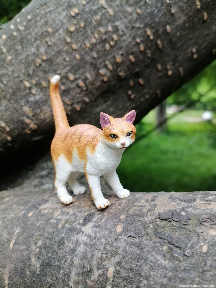 Лурения - Петербург: новый кот на прогулке в Таврическом