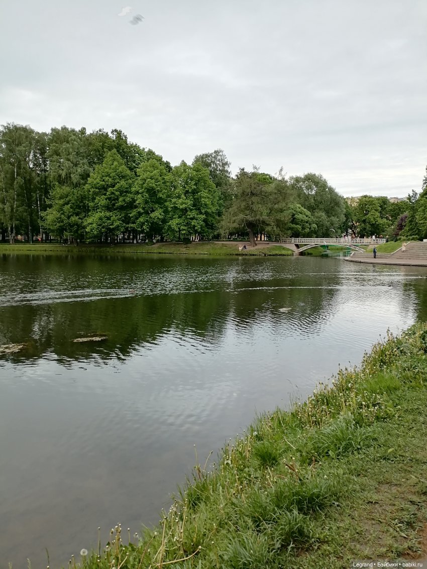 Санкт-Петербург: Таврический сад - пруд, утки, чайки