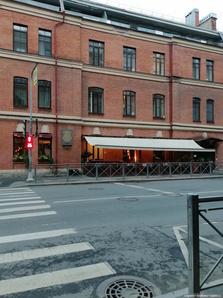 Лурения - Петербург: новый кот на прогулке в Парадном