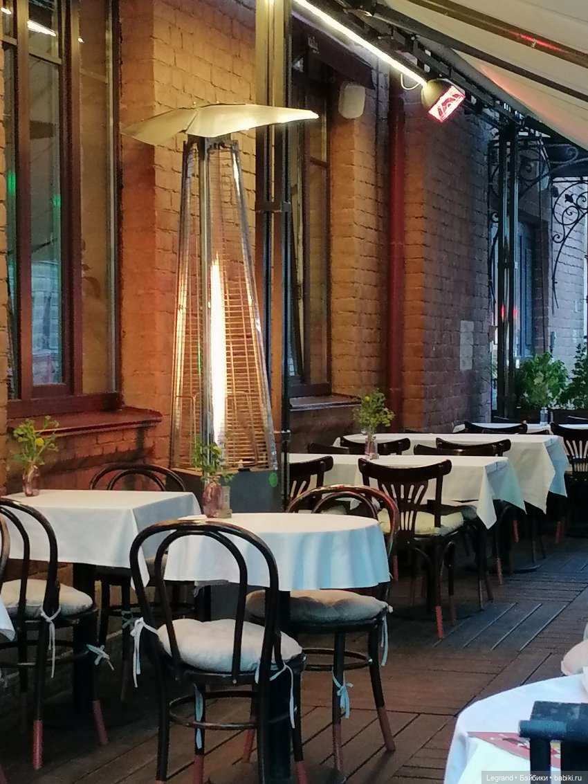 Лурения - Петербург: новый кот на прогулке в Парадном