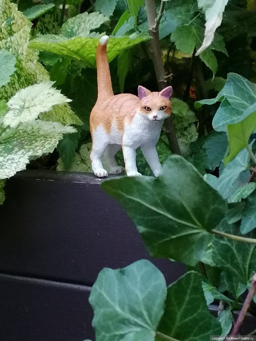 Лурения - Петербург: новый кот на прогулке в Парадном