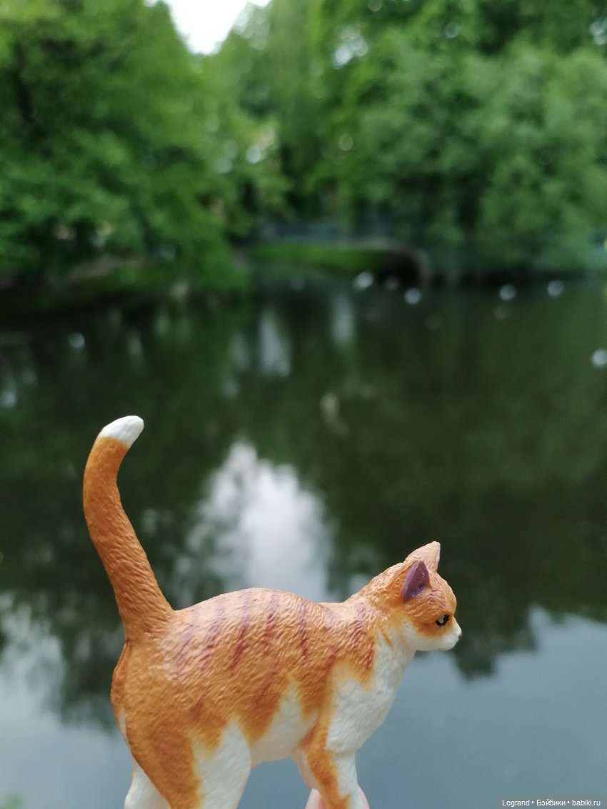 Лурения - Петербург: новый кот на прогулке в Таврическом