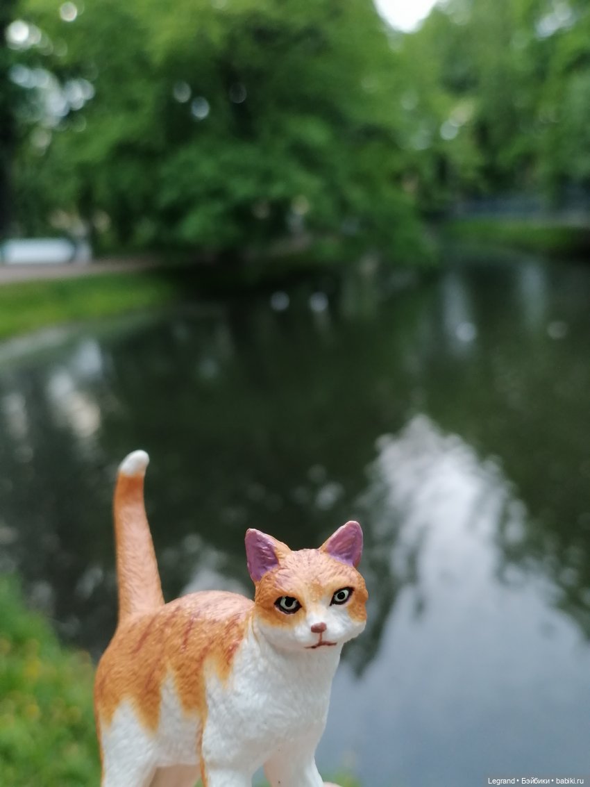 Лурения - Петербург: новый кот на прогулке в Таврическом