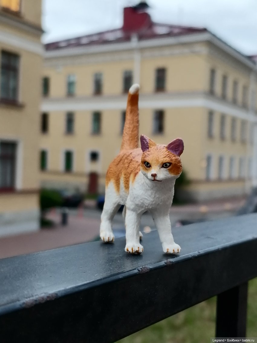 Лурения - Петербург: новый кот на прогулке в Парадном