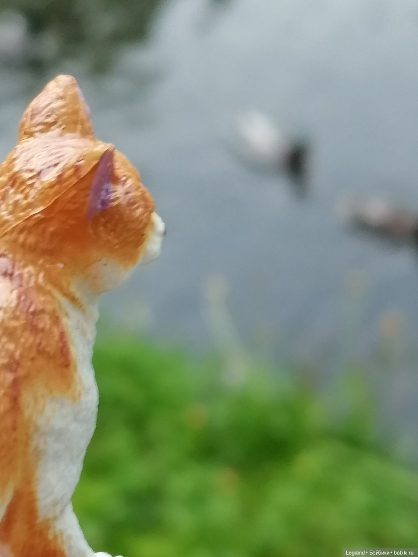 Лурения - Петербург: новый кот на прогулке в Таврическом