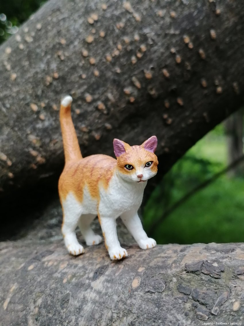 Лурения - Петербург: новый кот на прогулке в Таврическом