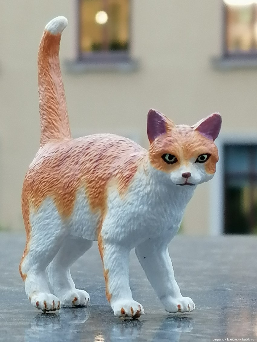 Лурения - Петербург: новый кот на прогулке в Парадном