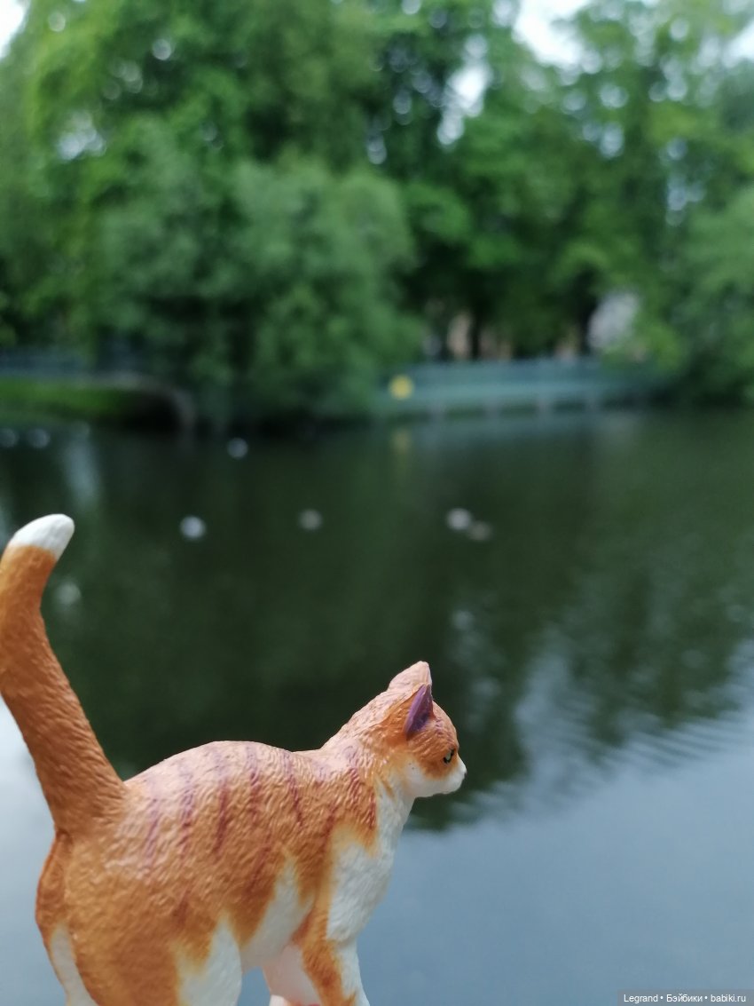 Лурения - Петербург: новый кот на прогулке в Таврическом