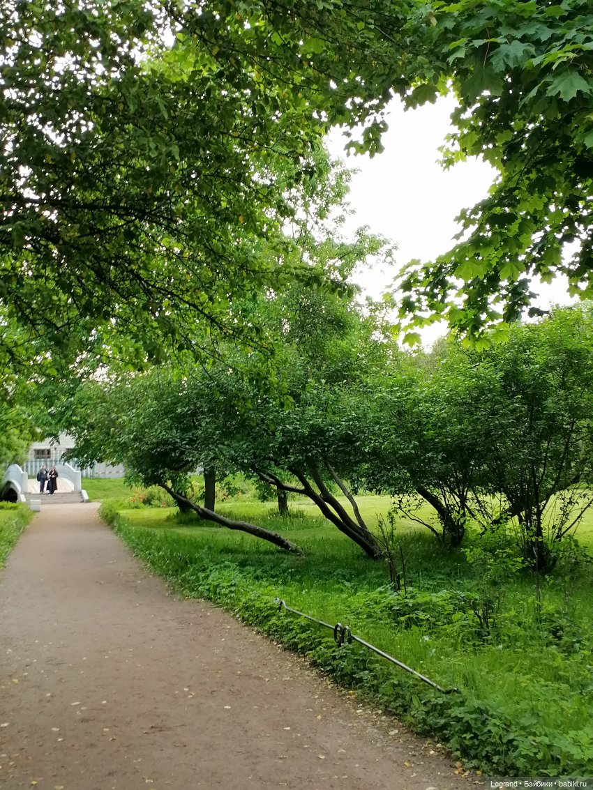Санкт-Петербург: Таврический сад в начале июня