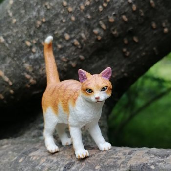 Лурения - Петербург: новый кот на прогулке в Таврическом