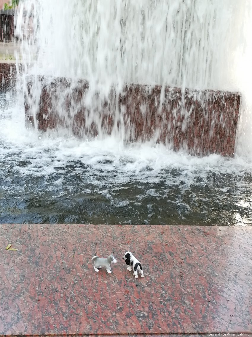Санкт-Петербург: "Вселенная Воды" на Шпалерной - питомцы у фонтана и в сквере
