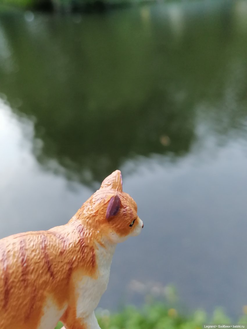 Лурения - Петербург: новый кот на прогулке в Таврическом