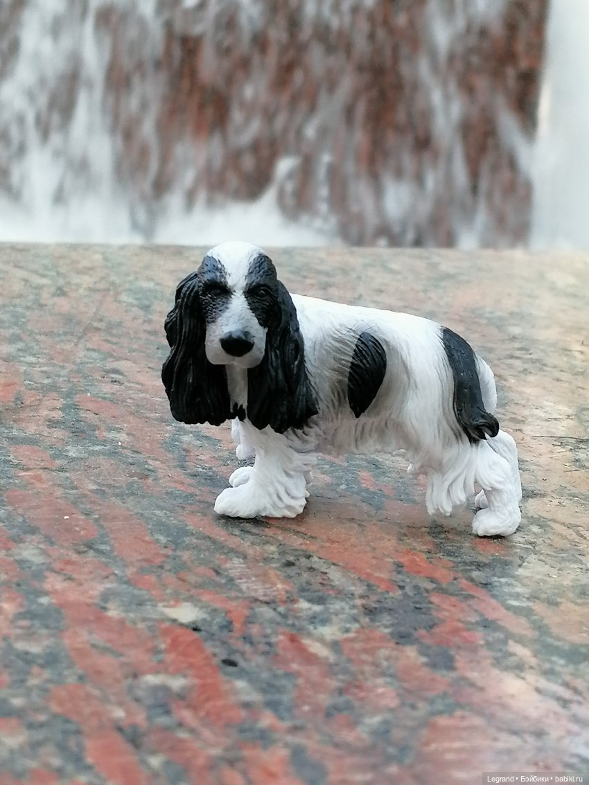 Санкт-Петербург: "Вселенная Воды" на Шпалерной - питомцы у фонтана и в сквере (фото 9)