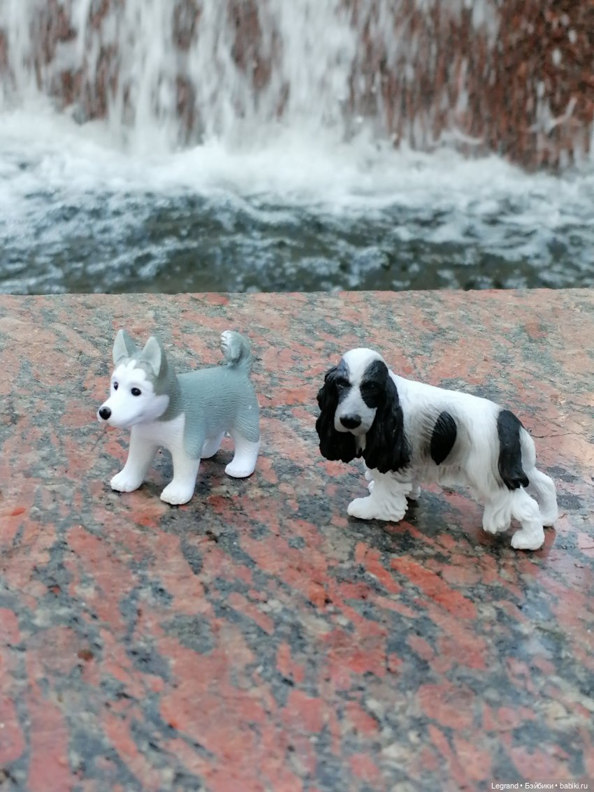 Санкт-Петербург: "Вселенная Воды" на Шпалерной - питомцы у фонтана и в сквере (фото 6)