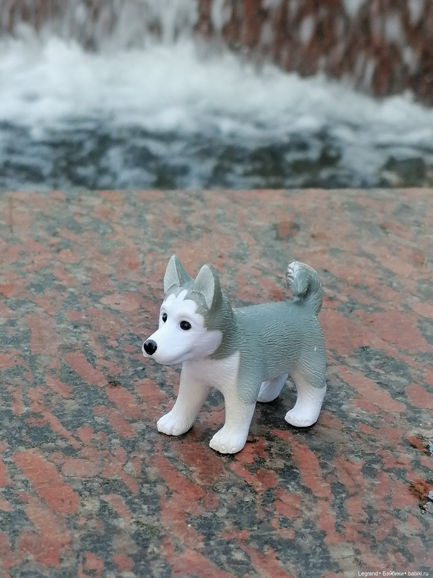 Санкт-Петербург: "Вселенная Воды" на Шпалерной - питомцы у фонтана и в сквере