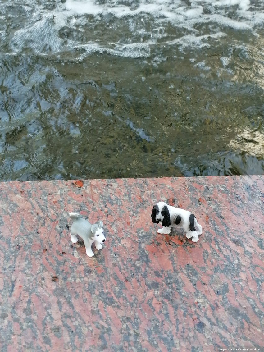 Санкт-Петербург: "Вселенная Воды" на Шпалерной - питомцы у фонтана и в сквере