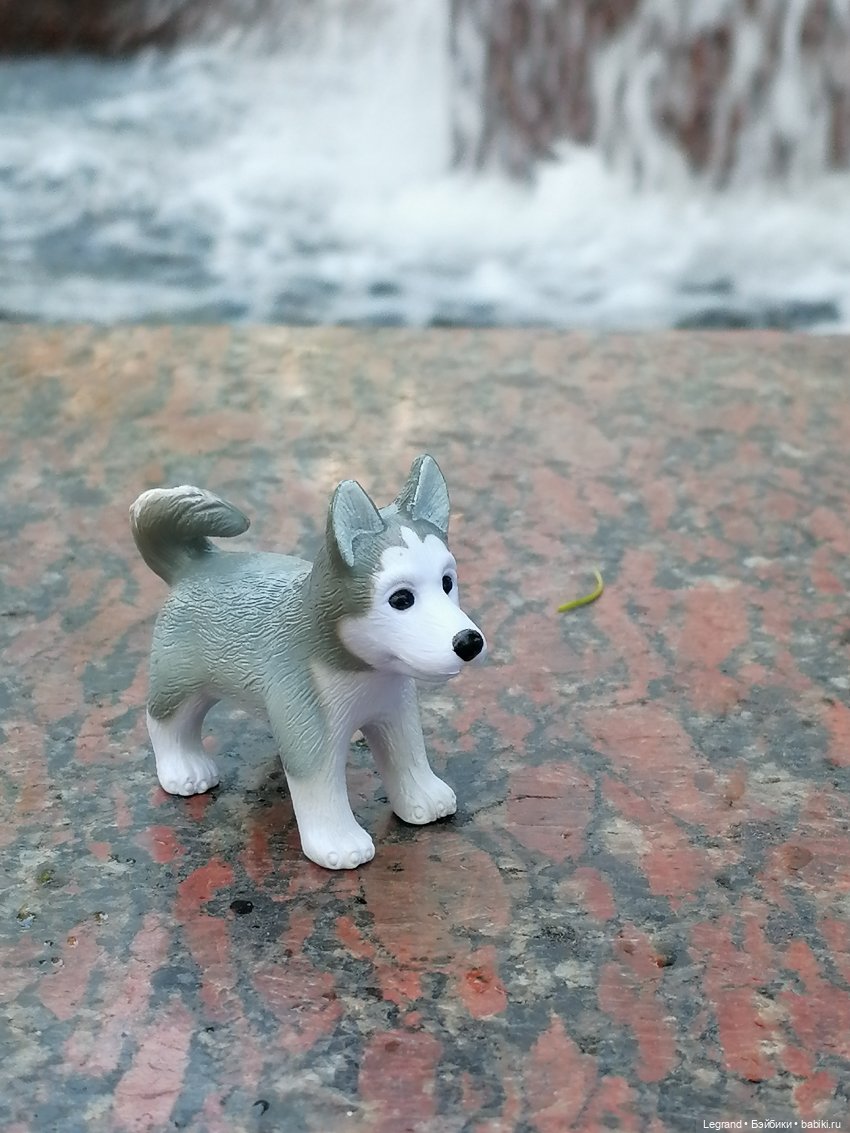 Санкт-Петербург: "Вселенная Воды" на Шпалерной - питомцы у фонтана и в сквере (фото 8)