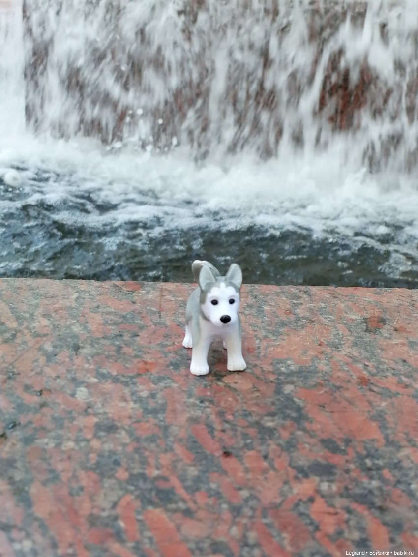 Санкт-Петербург: "Вселенная Воды" на Шпалерной - питомцы у фонтана и в сквере