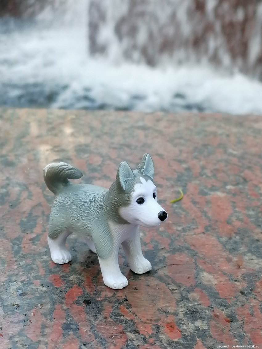 Санкт-Петербург: "Вселенная Воды" на Шпалерной - питомцы у фонтана и в сквере (фото 7)