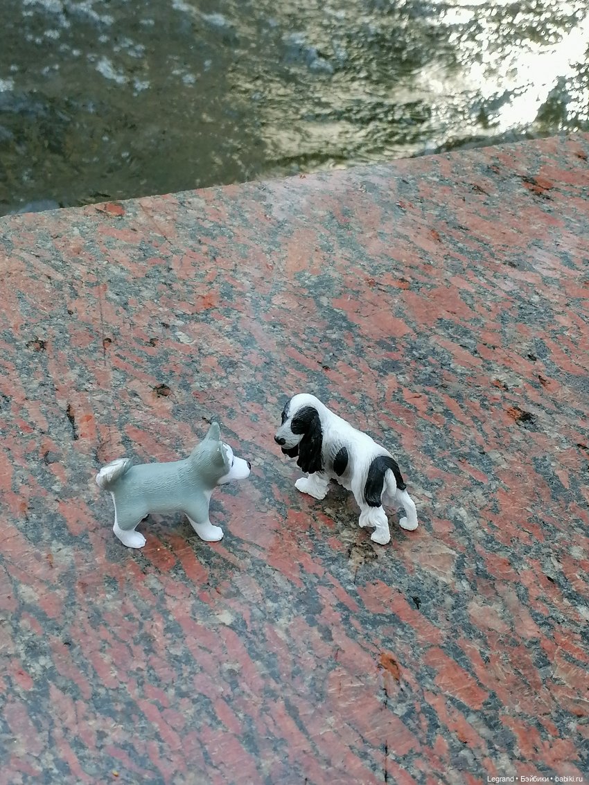 Санкт-Петербург: "Вселенная Воды" на Шпалерной - питомцы у фонтана и в сквере