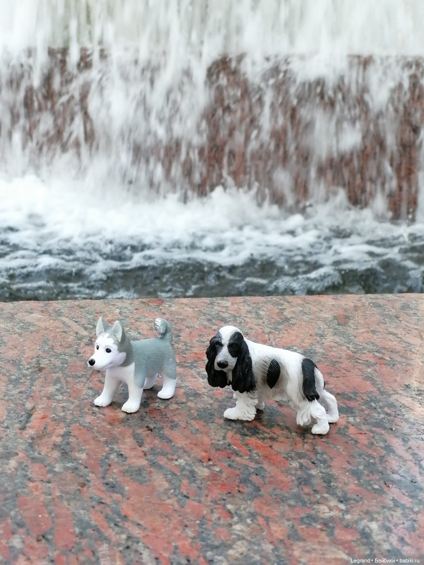 Санкт-Петербург: "Вселенная Воды" на Шпалерной - питомцы у фонтана и в сквере (фото 5)