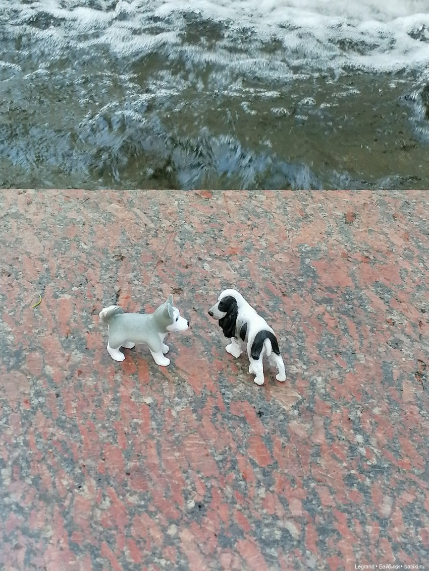 Санкт-Петербург: "Вселенная Воды" на Шпалерной - питомцы у фонтана и в сквере